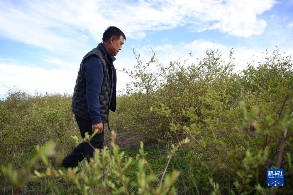 捕鱼王游戏技巧